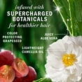 thumbnail image 4 of Herbal Essences Pure Grapeseed Colour Nurture Sulfate Free Shampoo, Hair Protection and Colour Nourishment, with Certified Camellia Oil and Aloe Vera, For All Hair Types, Especially Colour Treated Hai, 4 of 14