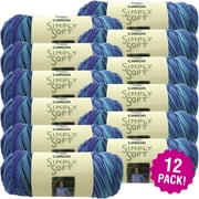 Angle View: Caron Simply Soft Paints Yarn - Oceana, Multipack of 12