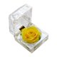 thumbnail image 1 of 1Pcs Preserved Flower Eternity Rose Never Withered Rose Gift for Valentine's Day Birthday and Anniversary with Drawer Gift Box (Yellow), 1 of 3