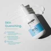 Oily Skin Moisturizer
