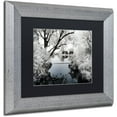 thumbnail image 2 of Trademark Fine Art "White Calm" Canvas Art by Philippe Hugonnard, Black Matte, Silver Frame, 2 of 4