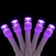 thumbnail image 2 of Northlight LED Wide Angle Halloween Lights - Purple - 10' White Wire - 20ct, 2 of 9