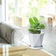 thumbnail image 4 of Macetas de jardín de 2 piezas, macetas de plástico de estilo nórdico, macetas de plantas suculentas de jardín interior y exterior con bandejas (gris)   ER, 4 of 5