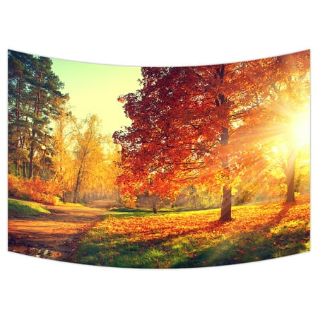 Leaf Wall Hanging - YKCG Autumn Park Scene Fall Trees and Leaves Wall Hanging Tapestry Wall Art 90x60 inches