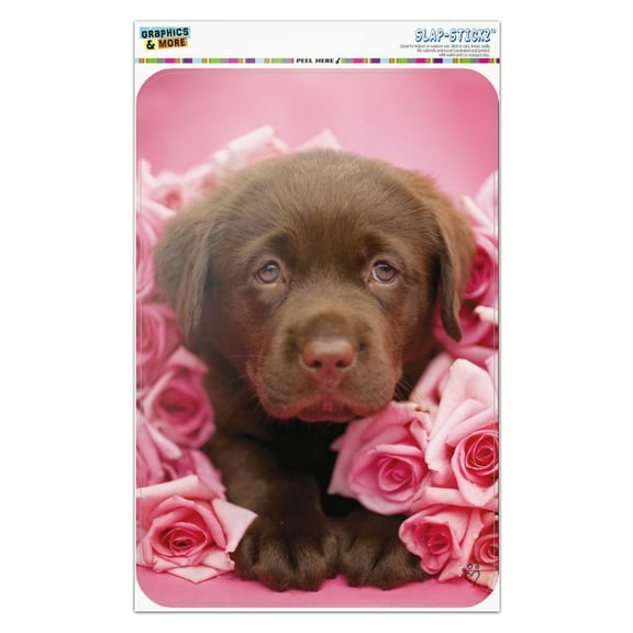 Chocolate Labrador Retriever Puppy Dog Pink Roses Home Business Office Sign