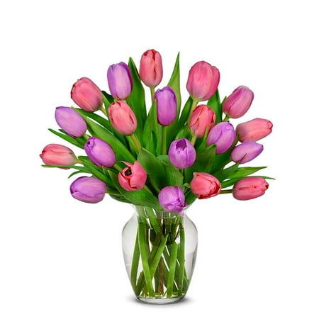 From You Flowers – Pink and Purple Tulips – 20 Stems for Birthday Anniversary Get Well Congratulations Thank You All Occasions From You Flowers – Pink and Purple Tulips – 20 Stems for Birthday Anniversary Get Well Congratulations Thank You All Occasions