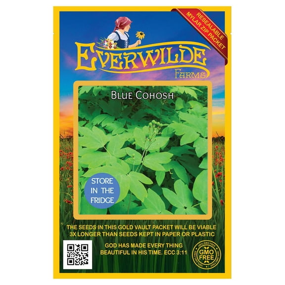 Everwilde Farms - 5 Blue Cohosh Native Wildflower Seeds - Gold Vault Seed Packet