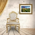 thumbnail image 3 of Lee, William 14x11 Gold Ornate Wood Framed with Double Matting Museum Art Print Titled - Hot Air Balloons Over Tulip Field, 3 of 4