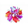 Beistle - 50403 - Silk N Petals Parti-Color Wristlet-Anklet- Pack of 12