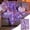 A, variant on Purple Cute Ghost Halloween Fleece Throw Blanket, Bat Moon Star Soft Flannel Sofa Bed Seasonal Decor Blanket