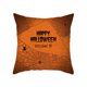 thumbnail image 1 of Ofertas de liquidación de JINESXIAO, decoración de sofás, fundas de cojín cuadradas, decoración del hogar, funda de almohada con temática de Todos los Santos, cojín de felpa suave para decoración del, 1 of 2