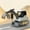 B.White, variant on Excavator Toy for Kids, Push & Go Mechanical Engineering Truck with Movable Digging Arm, No Battery Needed, Construction Vehicle for Toddlers Ages 3 White
