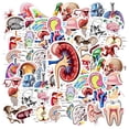 thumbnail image 3 of 35pcs Educational Stickers Stationery Stickers Science Kids Stickers  Graffiti Decals for Laptops Suitcase Phone, 3 of 9