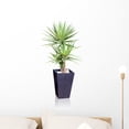 thumbnail image 1 of House Plant Yucca Wall Decal by Wallmonkeys Peel and Stick Graphic (24 in H x 12 in W) WM264392, 1 of 4