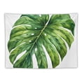 thumbnail image 5 of WYYP Boho Style Hanging Tapestry Soft Short Plush Lightweight Wall Decor Gift 40x60inch, 5 of 6