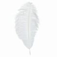 thumbnail image 2 of RotHome 10-12 Inch Natural White Ostrich Feathers Plume for DIY Craft Wedding Centerpieces, Soft Touch Long Feathers for Home Party Christmas Decorations, 1 Piece, 2 of 8