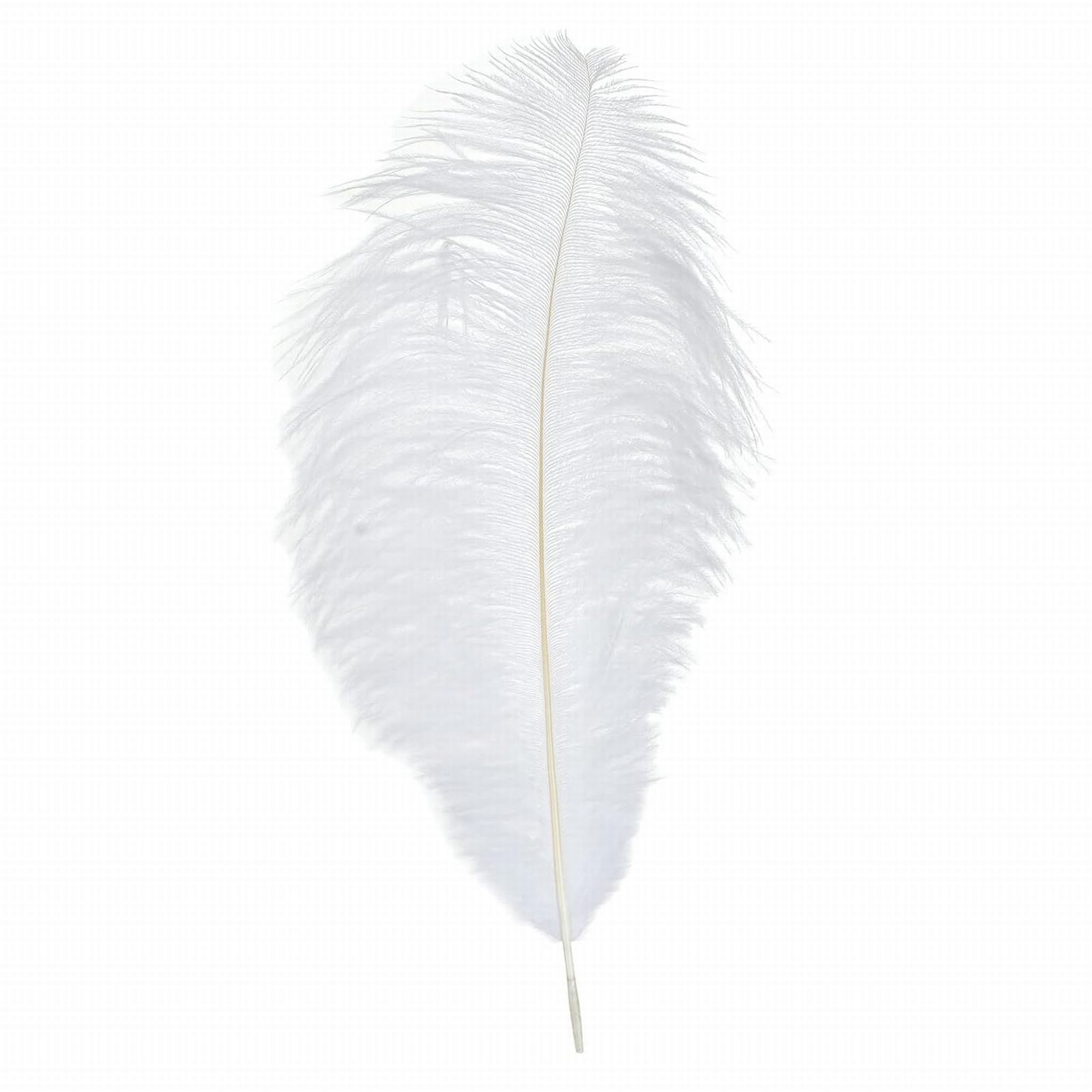 Natural Ostrich Feathers 18-20 Inch Soft Plume for Diy Crafts Wedding Centerpieces Party Decorations Christmas Tree Ornaments Costume Accessories Dream Catcher, 1 Feather
