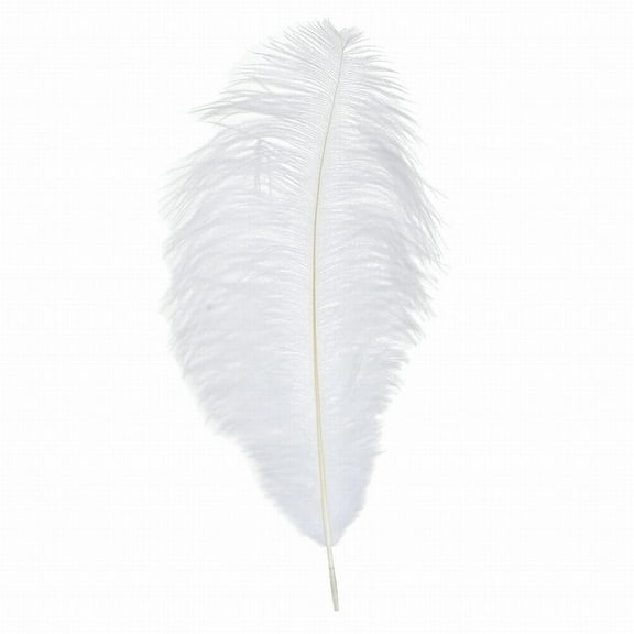 Natural Ostrich Feathers 18-20 Inch Soft Plume for Diy Crafts Wedding Centerpieces Party Decorations Christmas Tree Ornaments Costume Accessories Dream Catcher, 1 Feather