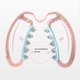 thumbnail image 2 of Abrazadera Para Piernas, Anillo De Mano, Abrazadera De Rodillo Muscular, Rodillo De Masaje De Relajación Muscular Para Corredores, Atletas, Nadadores Sweethay CE007321-02, 2 of 6
