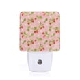 thumbnail image 1 of Fotbe Strawberry Floral Luz Nocturna LED, Luz de Noche con Sensor de Luz Natural de Anochecer a Amanecer, Se Enchufa a la Pared, Blanco Cálido 0.5W-US, 1 of 7