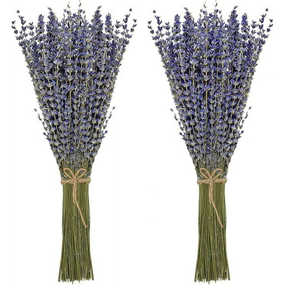Dried Lavender Set 100% Natural Dried Lavender Flowers Home Decor, Photo Props,