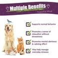 thumbnail image 6 of Amber NaturalZ Pyntril Peaceful Mind for Pets | Herbal Pet Supplement for Relaxation 1oz, 6 of 6