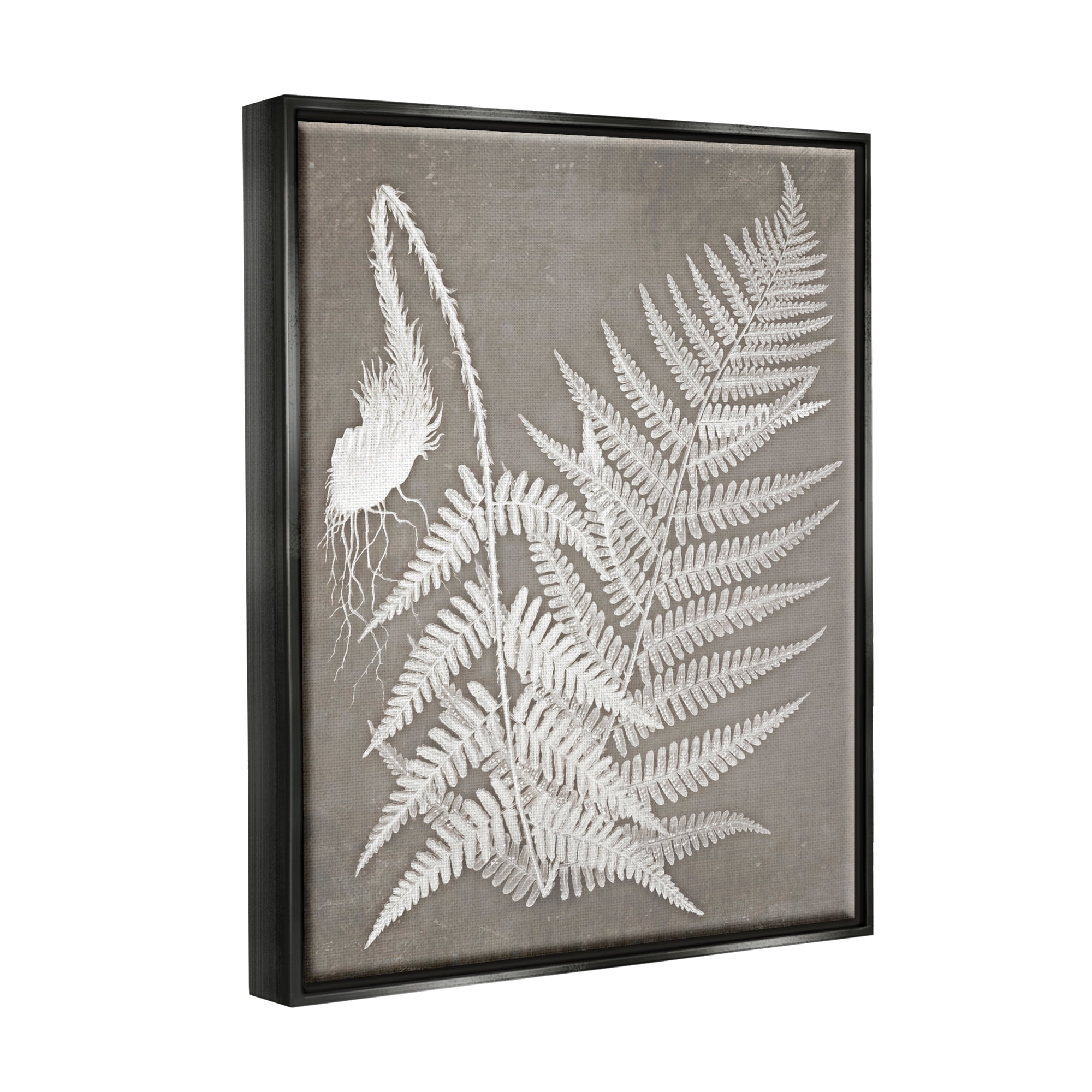Stupell Industries Layered Botanicals Fern Leaves Nature Vegetation Graphic Art Jet Black Floating Framed Canvas Print Wall Art, Design by Graffitee Studios