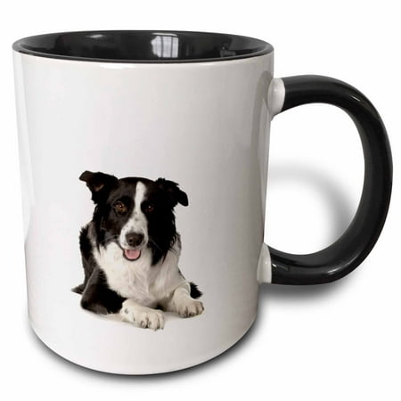 

Border Collie 15oz Two-Tone Black Mug mug-195151-9
