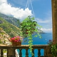 thumbnail image 4 of 30 Pcs Hanging Flower Pot Hook Hanger For Plants Garden Sticks Support, 4 of 6