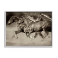 thumbnail image 5 of Stupell Industries Galloping Horse Herd Trotting Wild Animal Photography Photograph Gray Framed Art Print Wall Art, Design by Lisa Dearing, 5 of 5