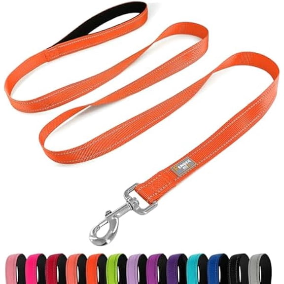 Eryueer Reflective Dog Leash 6 FT Padded Handle Nylon Dogs Leashes for Small Dogs Orange