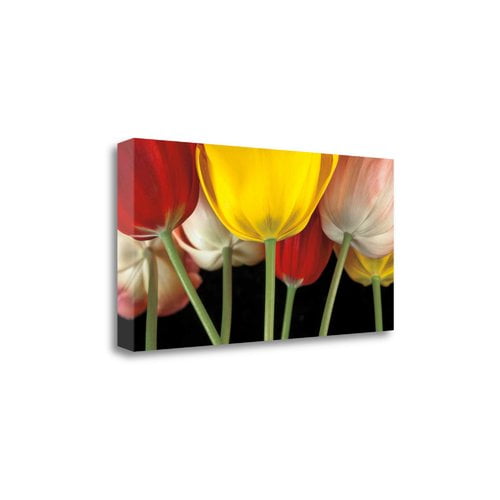 Sunshine Tulips Graphic Art Print On Wrapped Canvas Walmart Com Walmart Com