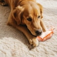 thumbnail image 3 of Dog Teething Toy Leaking Food Maker - TPR Material, Teeth Cleaning, Interactive, Durable, Treat Dispensing, Reduces Boredom, 3 of 5