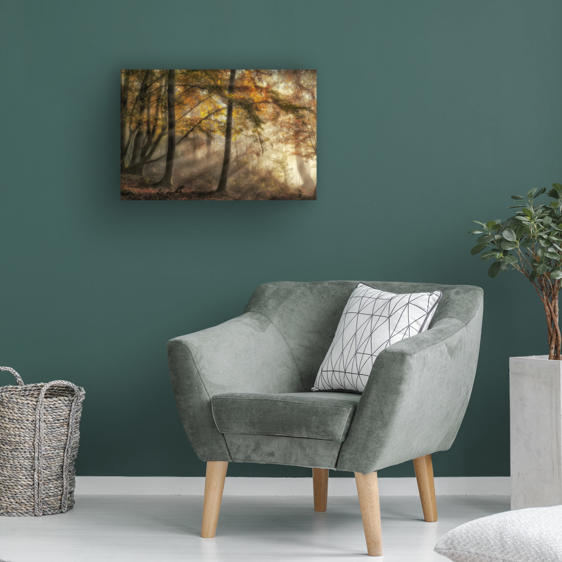 Canvas Wall Art - Fran Osuna 'The Lights Of The Forest' Wall Art for Living Room, Bedroom, or Office Décor by Trademark Fine Art - 19 x 12 Inches