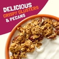 thumbnail image 4 of Bear Naked Maple Pecan Crumble Granola Cereal, Good Source of Fiber Bag, 12 oz, 4 of 15