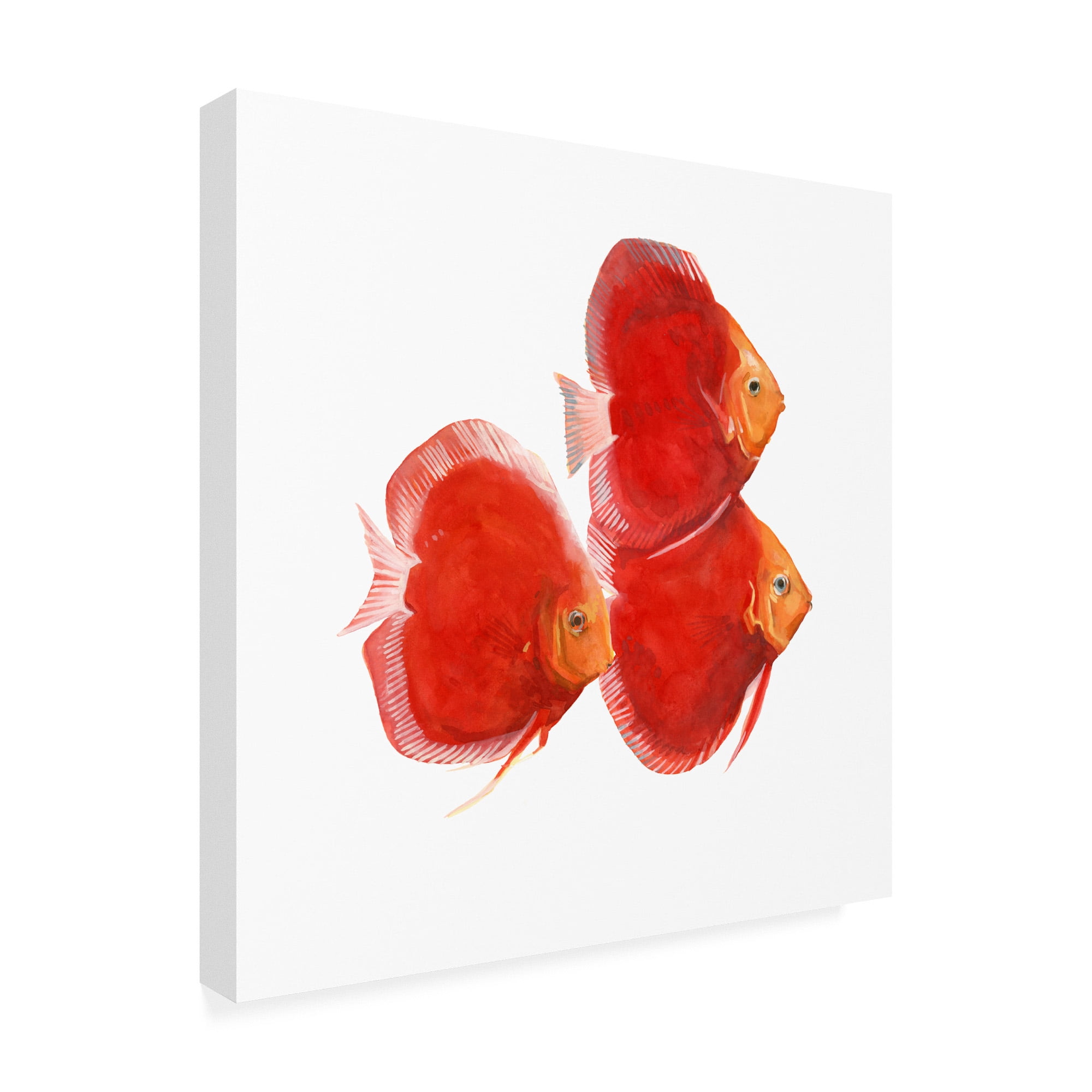 Trademark Fine Art 'Discus Fish VI' Canvas Art by Emma Scarvey