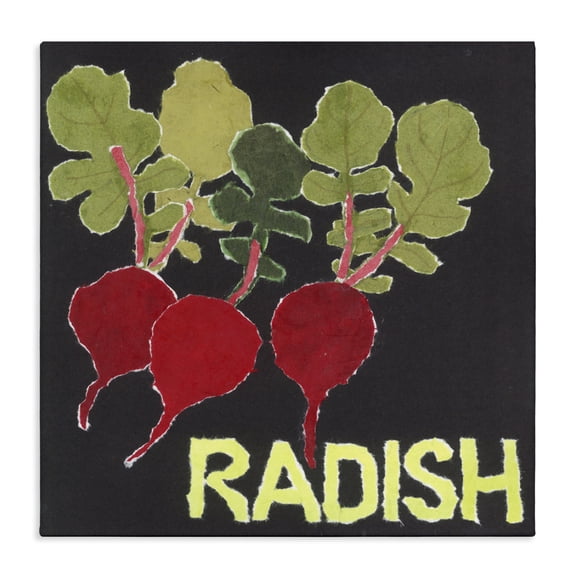 Stupell Industries Collaged Radish Vegetables Canvas Wall Art, design by Nancy Overton