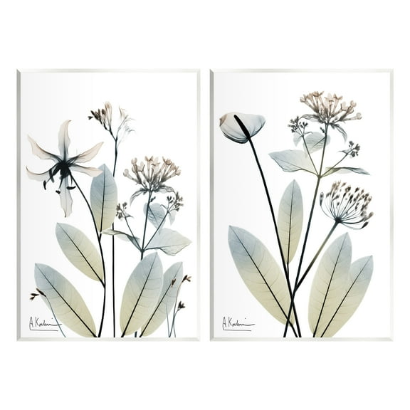 Stupell Industries Modern Budding Blooms Botanical & Floral Photography Unframed Art Print Wall Art, 10 x 15, Set of 2