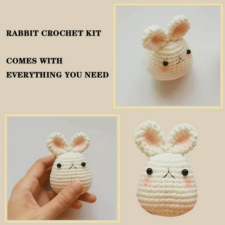 QIIBURR Learn To Crochet Kits for Adults Beginner Crochet Kit for Beginners  - Diy and Complete Crochet Kit for Beginners, Experts, Adults and Kids,  with Materials and Instruction 