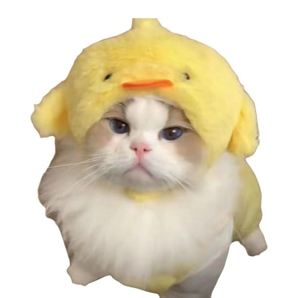 Ruifaya Gorro decorativo para gatos y perros, bonito disfraz de cosplay