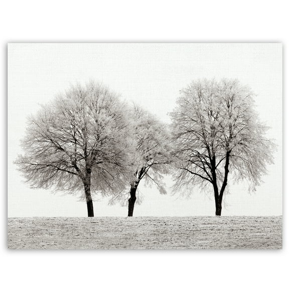 Masterpiece Art Gallery Three Trees By Ilona Wellmann Canvas Art Print 30" x 40"