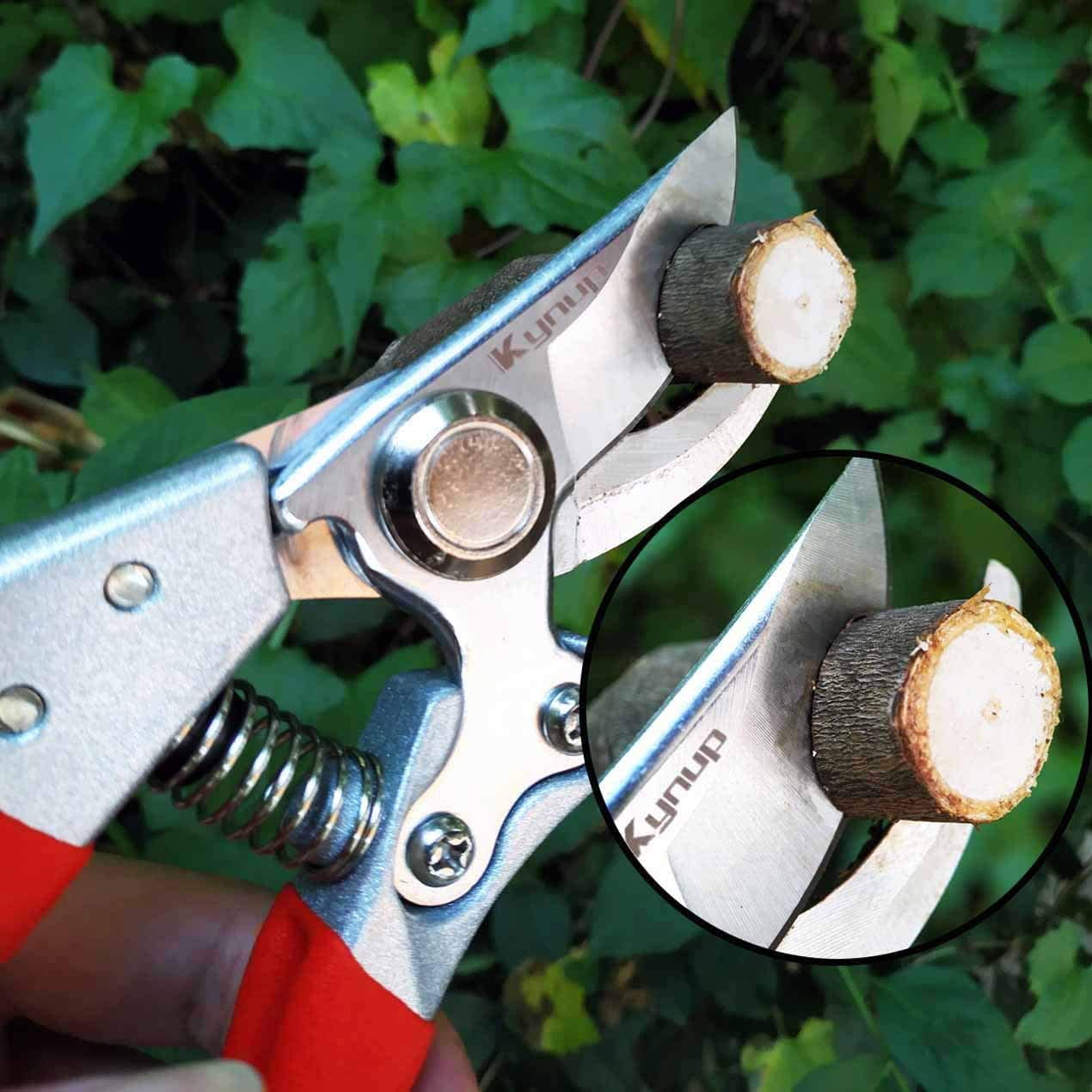  Bypass Pruning Shears - Solid Wood Handle Garden Shears- 8-inch  Built-in Spring Tree Trimmers - Garden Shears Suitable For Small Hands -  Ergonomic Gardening Tools - Profession Gardener's Gift : Patio