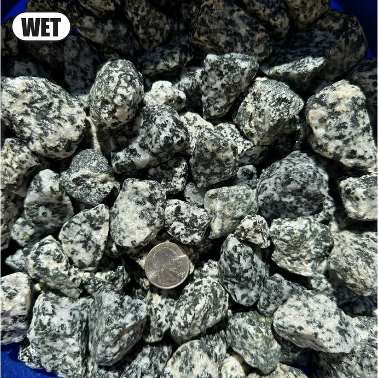 22 Pounds of Big Dalmatian Stones 1