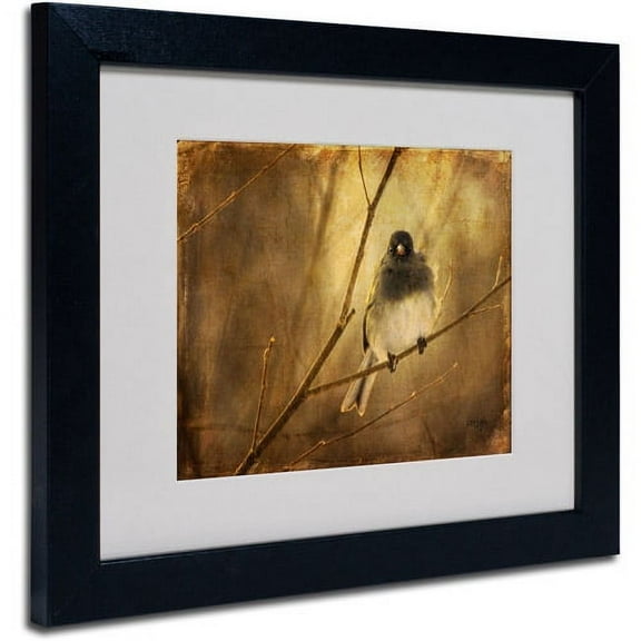 Trademark Fine Art 'Backlit Birdie Being Buffeted' Matted Framed Art by Lois Bryan