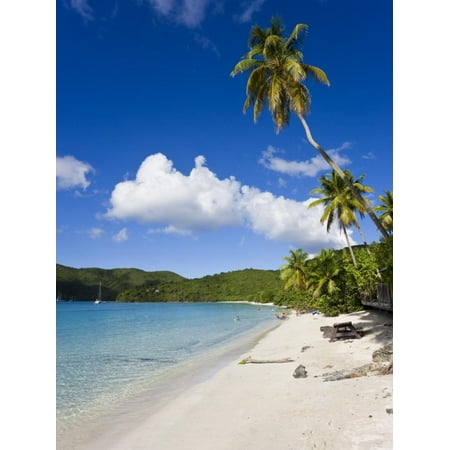 - Cinnamon Bay Beach and Palms, St. John, U.S. Virgin Islands, West Indies, Caribbean Print Wall Art By Gavin Hellier
