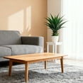 thumbnail image 2 of 27” Agave Artificial Plant With White Pot, 2 of 5