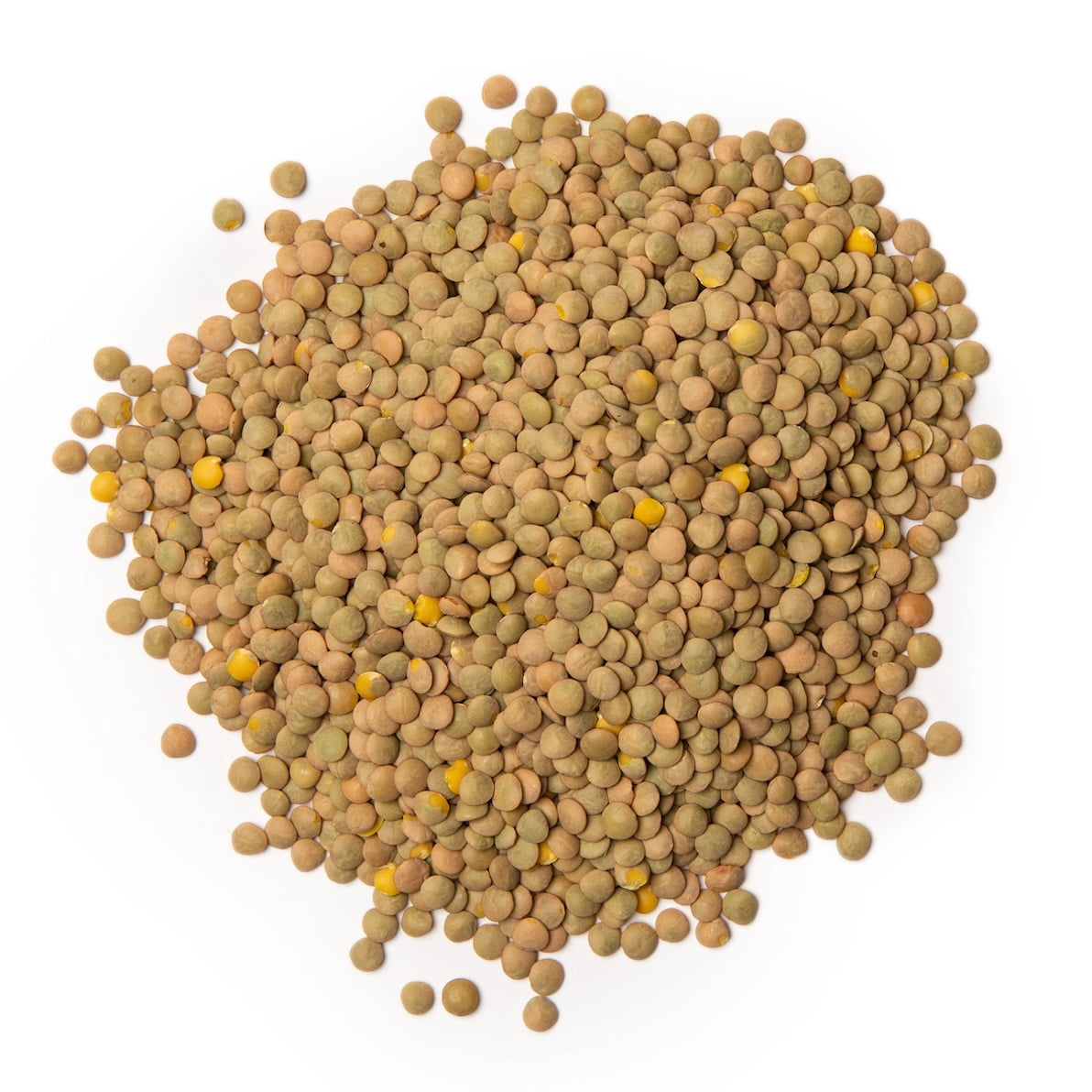 Hurst's Brand Dried Lentils, 16 oz