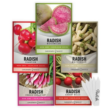 Radish Seed Assortment | 5 Variety Pack