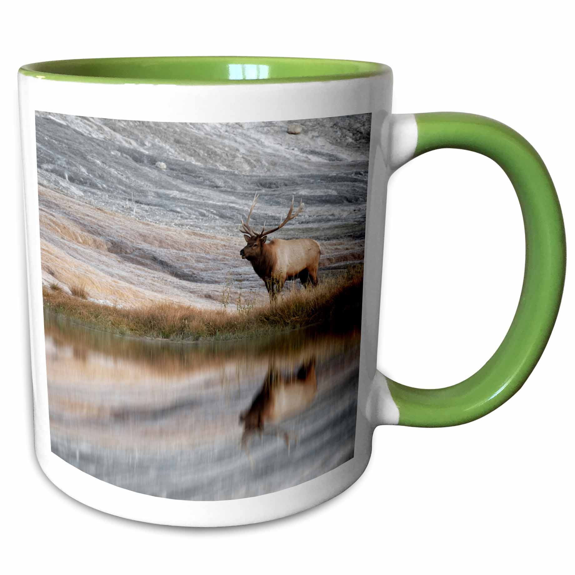 3drose, Bull Elk Reflected in a Pond, Canary Spring, Yellowstone Np, Wyoming, 11oz Two-tone Green Mug
