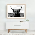 thumbnail image 6 of Black And White Highland Majesty - Scotland United Kingdom Photography Highland Cow Black and White Animal Nature Rustic Wildlife Rural Unframed Wall Art Print 5 x 7 inches, 6 of 7